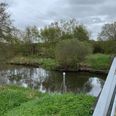 Vejen er ved at være banet for, at den smukke natur ved Nørreåen kan blive til gavn for flere. Pressefoto