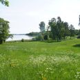 Stubbe sø er Djurslands største, men det er galt med den miljømæssige tilstand i søen, skriver debattør. Arkivfoto