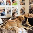 Siska er uddannet skoleservicehund, og hvis elverne har brug for en pause, kan det blandt andet være sammen med Siska. Foto: Cecilie Bisgaard