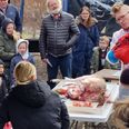 Der er blandt andet dissektion af forskellige dyr på programmet, når Naturhistorisk Museum inviterer indenfor - og udenfor - i efterårsferien. Pressefoto