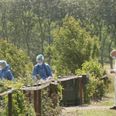 Politiet havde i forbindelse med drabet en del teknikere i gang med undersøgelser blandt andet på adressen, hvor det nu fængslede ægtepar boede i Nimtofte. Også skoven ved Gassum blev undersøgt grundigt. Foto: Presse-fotos.dk.
