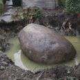 Kampvægt i omegnen af 22 ton, lyder fotografens vurdering. Foto: Per Øxenholt