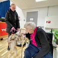 Border collien Lady hoppede hurtigt op på stolen ved siden af Nora Hansen. Lady var egentlig på vej hjem efter endt test, men stolen og selskabet lokkede tydeligvis. Til stor glæde for plejehjemsbeboeren Nora Hansen. Foto: Kian Johansen