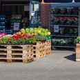 Det er især hos discountkæderne Lidl, 365discount, Rema 1000 og Netto, at billedet med de billigere fødevarer er mest tydeligt. De billigste butikker er fortsat Lidl og Rema 1000. Foto: AdobeStock