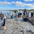 En fælles udflugt til stranden markerer skolestarten på Ebeltoft Skole. Privat foto.