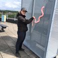 Kunstner og medarrangør af rooftop udstillingen på Skovkollegiet, Maja Helene Vestergaard, med sit værk 'Anatomy of an earthworm'.