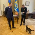 Borgmester Jacob Bundsgaard sammen med sin kollega fra venskabsbyen Lviv, Andriy Sadovyi, der har givet en hjemløs kat logi på borgmesterkontoret.
