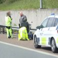Politiet hentede en atypisk, blød trafikant i nødsporet på Motorring 3 onsdag ved middagstid. Foto: Presse-fotos.dk.