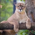 Foto: Adobe Stock