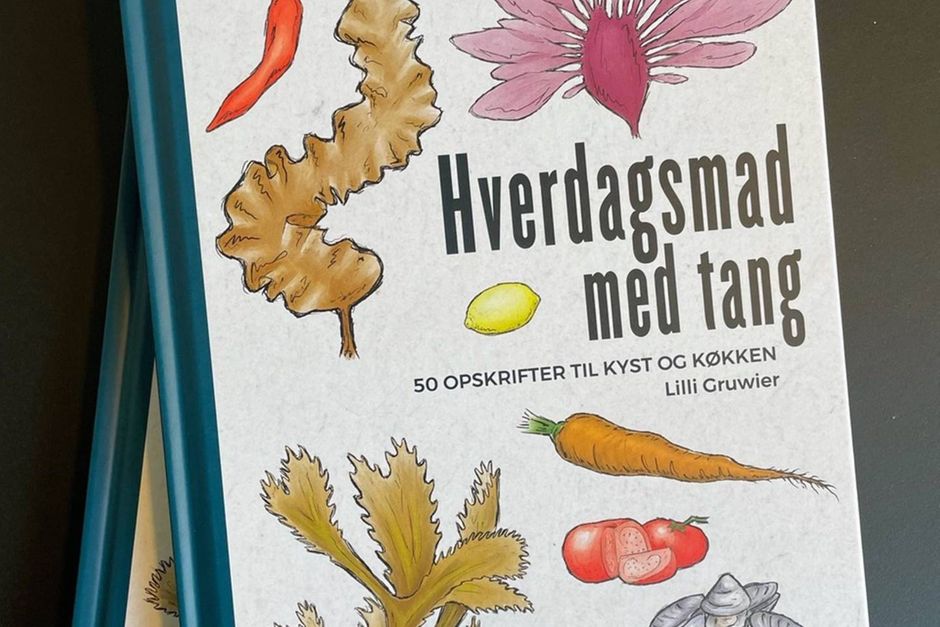 Artiklens øverste billede