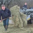 De nye ejere fodrede på førstedagen, den 15. april, efter at de havde fået nøglerne. I baggrunden ses Thor Hjarsen, Head of Danish Biodiversity, Hempel Fonden. Foto: Mogens Greve.