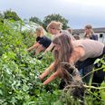 Med 2 millioner Nordea-kroner i ryggen er Kalø Højskole klar til at omsætte begreber som biodiversitet og bæredygtighed til konkrete handlinger. Pressefoto