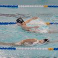 Den nye storklub bliver blandt Danmarks største svømmeklubber og vil samle aktiviteter inden for svømmeskole, motionssvømning, senioridræt, triatlon, talentudvikling og konkurrencesvømning. Foto: Signe Lægsgaard/Ritzau Scanpix