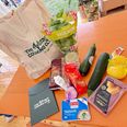 20.000 studerende kan få glade af det gratis måltidsnet. Foto: jr