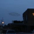 I marts, da landet corona-lukkede ned for første gang, var der sort sol over Lillesø i Skanderborg. Foto: Wulff