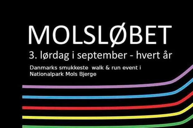 Artiklens øverste billede