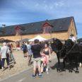 Vestermølle Marked 2021 finder sted søndag 15. august fra kl. 10-16.30. Arkivfoto