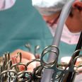 Cirka 400 danskere står på venteliste til en transplantation. Foto: Waltraud Grubitzsch/Ritzau Scanpix