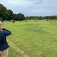 Bag Jane Simonsens grund vil Agri-Norcold gerne bygge et 300 meter langt og 20 meter højt frysehus. »Det bliver et mareridt. Det må være muligt at finde en løsning, hvor man tager hensyn til området og får byggeriet til at passe ind i omgivelserne,« sagde hun, da avisen skrev om sagen før sommerferien. Foto: Danni Paulsen