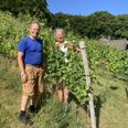 Hans Münter og Helle Neergaard en sommerdag blandt vingårdens cirka 2.000 vinstokke. 28. december inviterer parret til åbent hus i gårdens vinotek, hvor der bliver lejlighed til at smage på Perla Danica årgang 2023, der frigives ved samme lejlighed. Arkivfoto