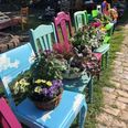 I 2019 gennemførte kvarteret også et blomsterprojekt, som hed ”Plant en stol”. Resultaterne pyntede rundt omkring i øgaderne. Arkivfoto