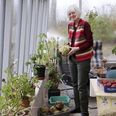 Børnene Lærke og Rasmus bor i Norge og i Portugal med deres ægtefæller og hver to børn. Portugiserne kommer hjem til Danmark til jul. Anne har også en datter på Sjælland, Andrea.