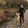 Æslet Frank Buddy er Naturcentrets terapiæsel. Han bruges til at træne tålmodighed og arbejde med at slippe kontrol / vilje, og så hjælper han med naturlig bekæmpelse af bjørneklo og er en god makker på kortere pilgrimsvandringer. Her ses han og Aletha på en vandretur rundt i engen ved Pøt Mølle. Privat foto.