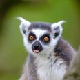 Arkivfoto: Adobe Stock