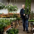 Det var ejeren af Billigblomst, Brian Reenberg, der for 14 måneder siden underskrev lejekontrakten med Hanssen Ejendomme. Arkivfoto: Morten Lau-Nielsen, Jyllands-Posten
