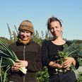Katrine Schacht Gregersen og Vega Fersbye har i løbet af halvandet år anlagt gartneri med grønsager, lægeurter og urter til te. Privatfoto