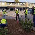 Blandt andet Torvet skal gøres grønnere for at gøre Hørning mere indbydende. Arbejdet er nu gået i gang. Privatfoto