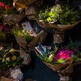Parret overtog butikken uden at have den store erfaring med blomsterverdenen. Arkivfoto: Marcus Emil Christensen, Politiken