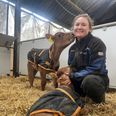 Da Emilie Horst Petersen for halvandet år siden skulle søge et nyt job, var hun ikke i tvivl om, at hun skulle finde noget inden for landbrug. Privatfoto