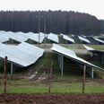 »Det er afgørende at forstå, at den grønne omstilling ikke sker af sig selv. Jeg er selv en stor fortaler for vores natur og har brugt hele mit liv i den. Men de arealer, der er udpeget til solceller, er landbrugsjord, som har været dyrket og sprøjtet i årtier – ikke uspoleret natur,« lyder det i debatindlægget. Arkivfoto: CSJ