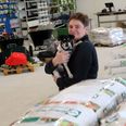 Hanne Røgild har en god mavefornemmelse med sin nye forretning Thorupgård Foder & Hobby, som hun åbner sammen med sin mand, Niels Birk Kjeldgård og den 14 år gamle dansk-svenske gårdhund Sisse. Foto: CSJ