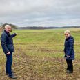 Hårby Friplejehjem skal ligge på marken her i forlængelse af Langagertoften i Hårby. Til højre ligger flere parcelhuse. Foto: Katrine Friis.