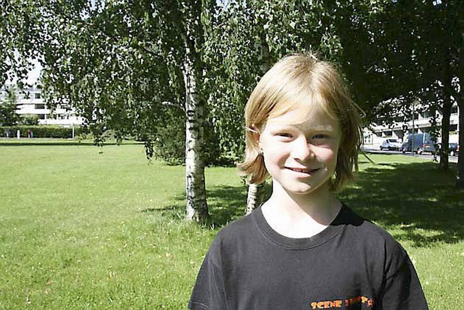 Artiklens øverste billede