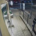 Fotoet af den formodede gerningsmand er nu sløret efter anholdelsen.