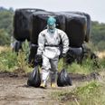 Billedet er fra 2016, hvor beredskabsfolk i sikkerhedsdragter aflivede 1.200 fugleinfluenzaramte gråænder. Arkivfoto: Henning Bagger/Ritzau Scanpix