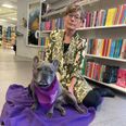 Den franske bulldog Oda er sammen med sin ejer Joan Byriel blevet certificeret som læsehund, og parret er nu klar til at give børn en god læseoplevelse på Skanderborg Bibliotek. Foto: Skanderborg Kommunes Biblioteker