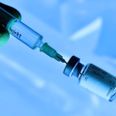 Foto: Frank Hoermann/AP/Ritzau Scanpix
