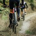 Foto: Adobe Stock