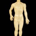 acupuncture points on body front isolated on black background