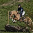 35 år med heste, kammeratskab og godt humør bliver i den kommende weekend fejret af Kirstineholm Rideklub og Skårup Overgård. Foto: Johnny N. Jensen