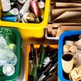 Tag quizzen og se, hvor mange stykker affald du kan sortere korrekt efter den nye ordning. Mordelfoto: Adobe Stock.
