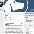 Charlotte Laursens Facebook-side fortæller om hundesalonen 'Trimning V/Hundecentret'. Udsnit fra Facebook.