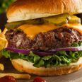 Ejeren af Golden Burger lover, at hans virksomhed er klar til næste besøg fra Fødevarestyrelsen. Arkivfoto: Adobe Stock