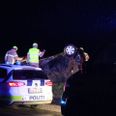 Bilen endte på taget. Foto: Presse-fotos.dk