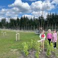 Åskolen i Hørning har plantet en frugtlund med blomme-, æble- og pæretræer samt frugtbuske. Træer og buske er endnu unge, men giver forhåbentligt rigeligt frugt på sigt. Pressefoto