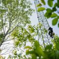 Masten ved Vester Velling er opgraderet og udstyret med den nyeste 5G-teknologi. Pressefoto